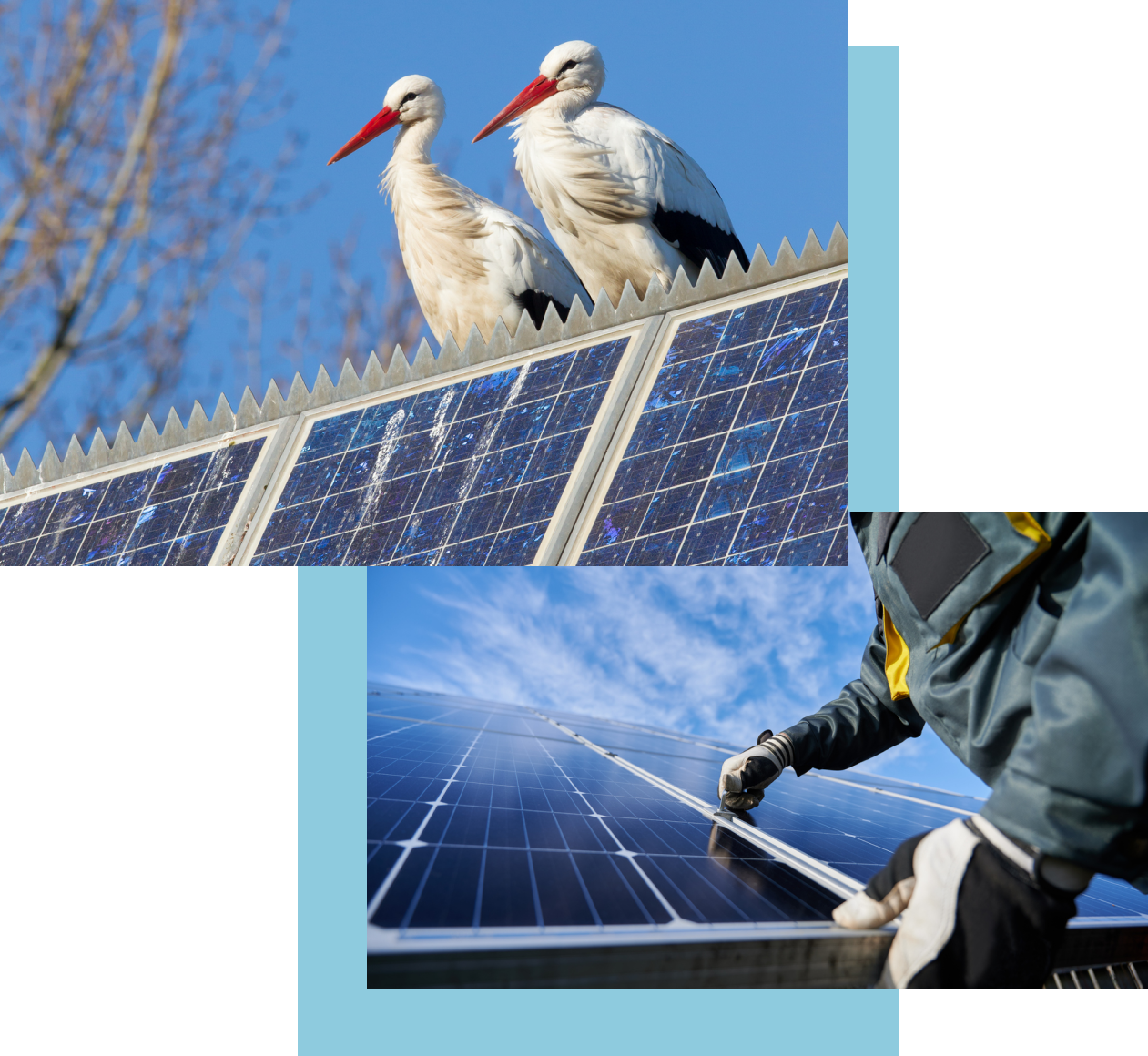 Cranes on Solar Panel