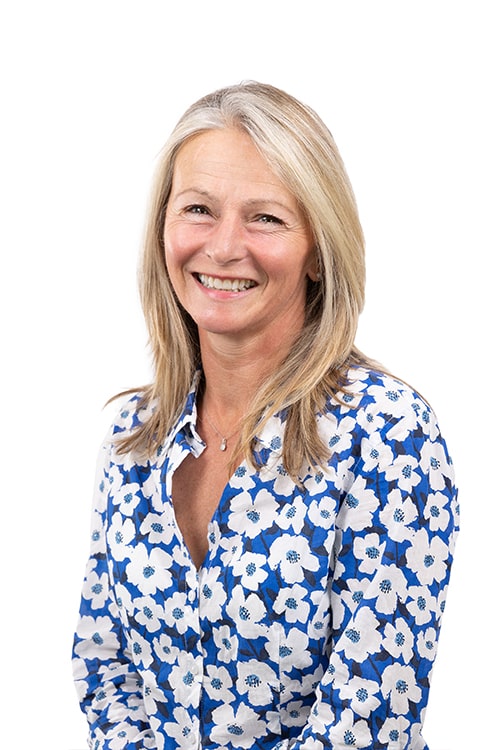 Mel Pearson solar service solutions