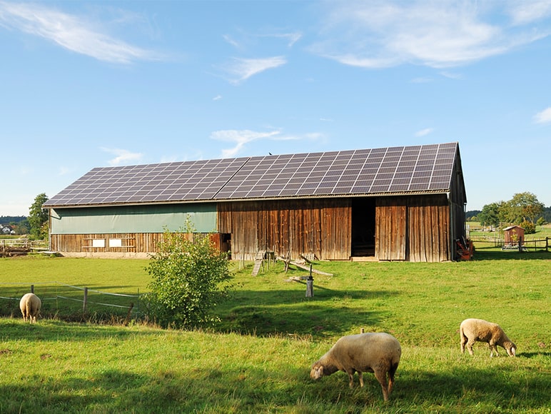 farm outbuilding with solar panels on roof