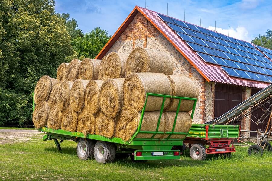 Farm solar panels
